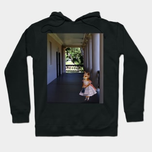 The Dingo is Your Baby Hoodie